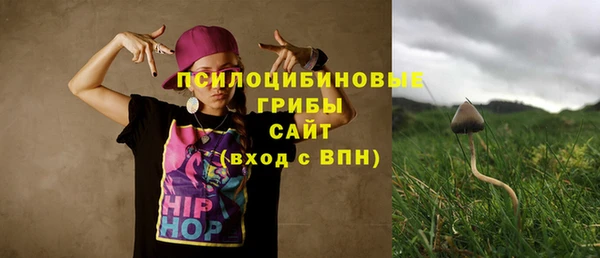 хмурый Кукмор