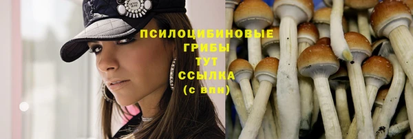 ГАЛЛЮЦИНОГЕННЫЕ ГРИБЫ Куйбышев